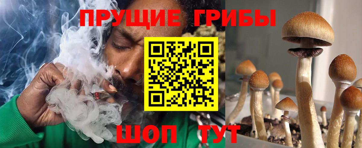 Кимры  Галлюциногенные грибы прущие грибы  закладки  Вход с VPN 